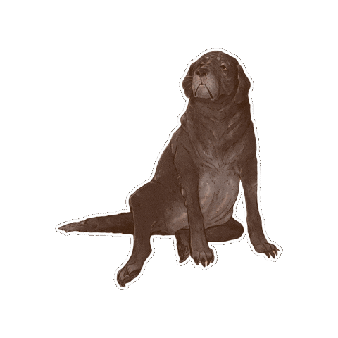 Ghost Dog Sticker by Dropout.tv