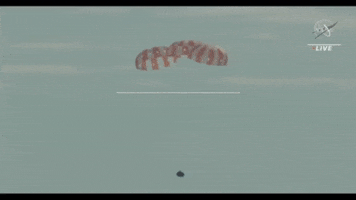 Space Moon GIF by NASA