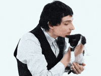 Napkimi finn wolfhard foah stranger things kitten interview finn wolfhard kitten interview GIF