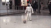 Barack Obama Win GIF by Tyler