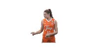 Basketball Sticker by Tango Bourges Basket