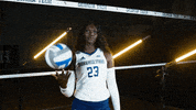 Georgia Tech Volleyball GIF by Georgia Tech Yellow Jackets