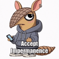 GIF by Chillo Dillo