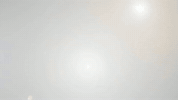 Israel Aliya GIF by Nefesh B'Nefesh