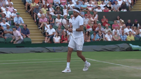 excited del potro GIF by Wimbledon