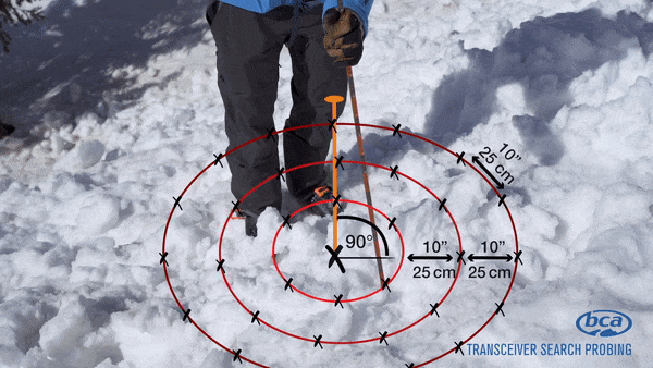 Backcountry_Access giphyupload ski safety avalanche GIF