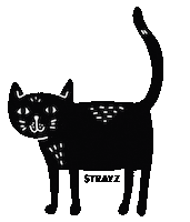 Black Cat Miez Sticker by STRAYZ