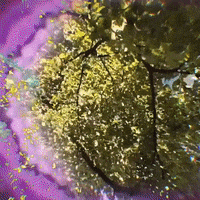 Art Loop GIF by John Fogarty