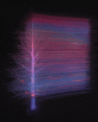 Abstract Tree GIF by Chris
