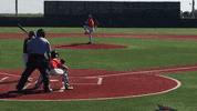 Lets Go Game GIF by Rawlings Tigers