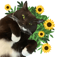 Happy Cat Sticker
