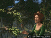 fiona GIF