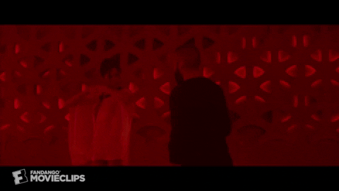 TAFDIGEST giphygifmaker GIF