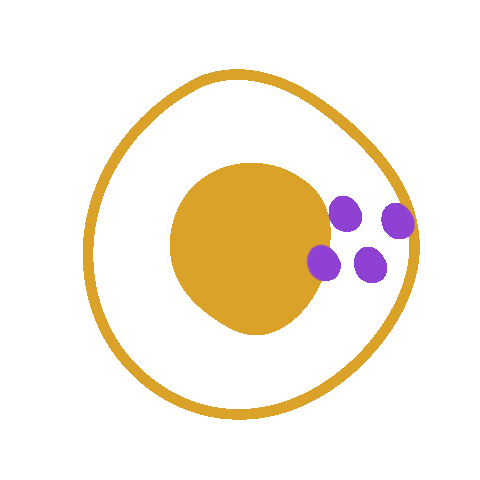 Steadyappsticker Sticker by Steady App