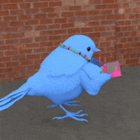 Brrd GIF