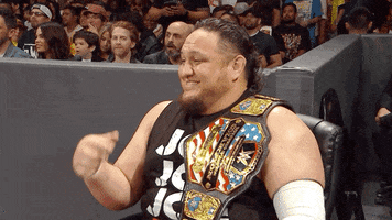 wwe reaction funny lol laugh GIF
