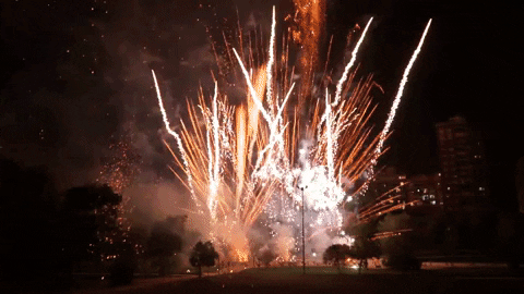 fireworks valencia GIF by For 91 Days