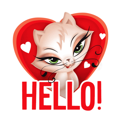 Cat Hello Sticker by Pionir Subotica