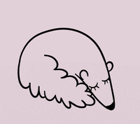 Anteater GIF