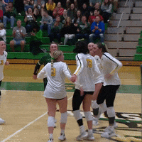 Happy Wright State GIF by Horizon League