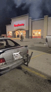 Badass Drift GIF