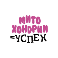 Health Keto Sticker by VILAVI