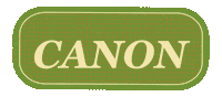 Band Piano Sticker