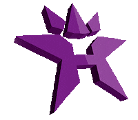 Logo Star Sticker by ehakancom