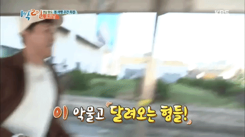 2 Days 1 Night GIF