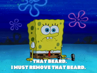 season 8 squidward's school for grown ups GIF by SpongeBob SquarePants