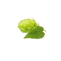 Chips Fries Sticker by LambwestonDE