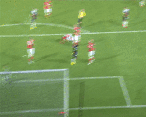 celebration flip GIF by Southampton FC