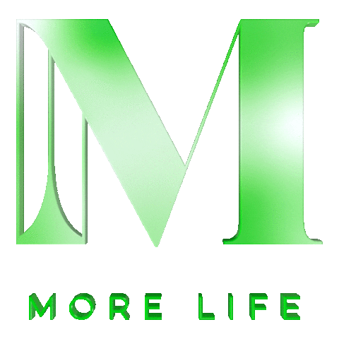 Morelifeentertainment giphyupload party life happy birthday Sticker