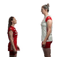 Stenzel Sticker by Polska Siatkowka