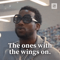 Ones with wings on