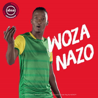 south african soccer GIF