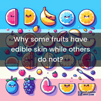 Edible Skin GIF by ExplainingWhy.com