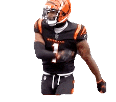 Cincinnati Bengals Football Sticker by NFL