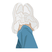 Relax Shoes Sticker