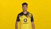 Borussia Dortmund GIF by Bundesliga