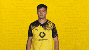 Borussia Dortmund GIF by Bundesliga