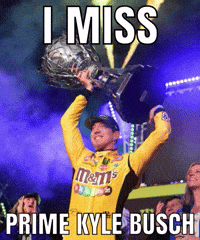 Kyle Busch Nascar GIF