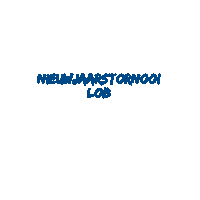 Lob Sticker by Londerzeel Badminton