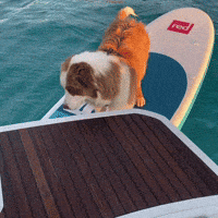 Laviederambo fail fall slip failure GIF