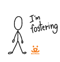 High Five Cat Sticker by Best Friends Animal Society