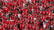 ohio state buckeyes ncaa GIF by Ohio State Athletics