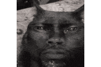 Sad Black Cat Sticker