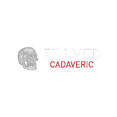 Fillmed Sticker by HBDERM