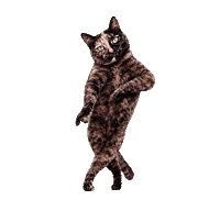 Dance Dancing Sticker by Vogule Poland