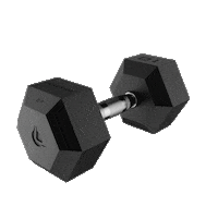 Lacertosus fitness gym bodybuilding rogue Sticker